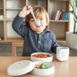 ظرف غذا مسافرتی سواوینکس