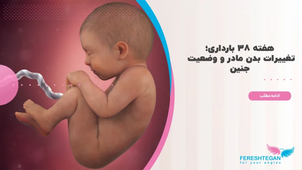 هفته ۳۸ بارداری