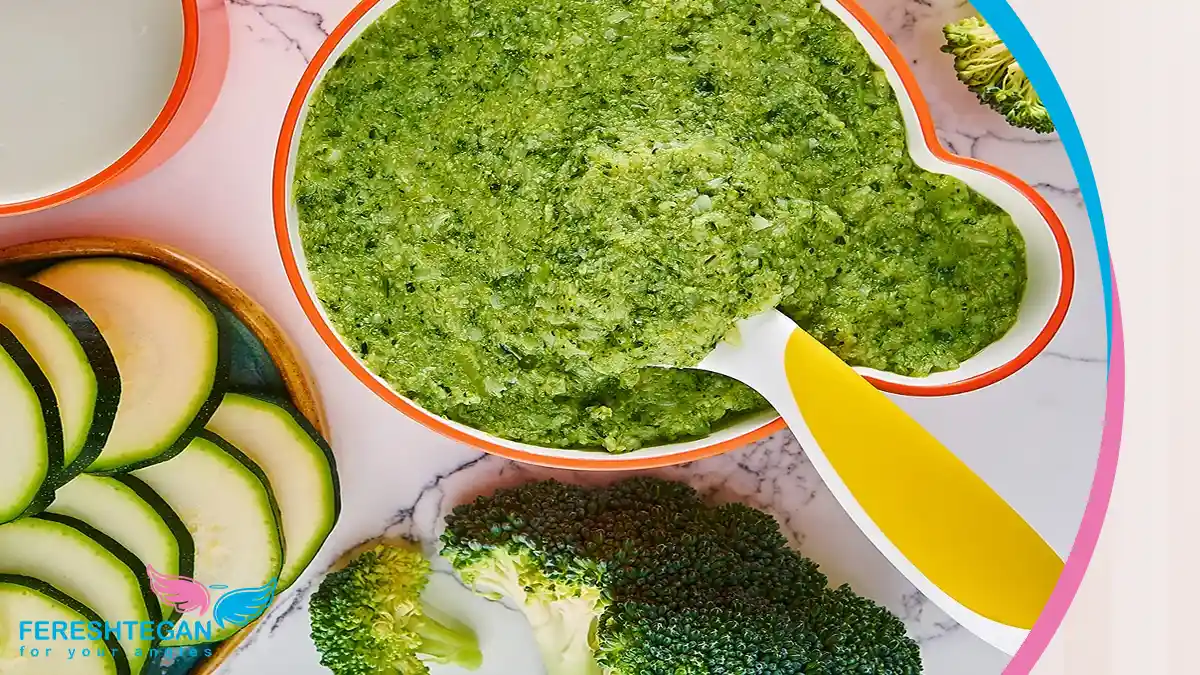 یک کاسه پوره کدو سبز نرم و تازه که برای تغذیه نوزاد آماده شده و کنار آن چند قطعه کدو سبز بخارپز قرار دارد