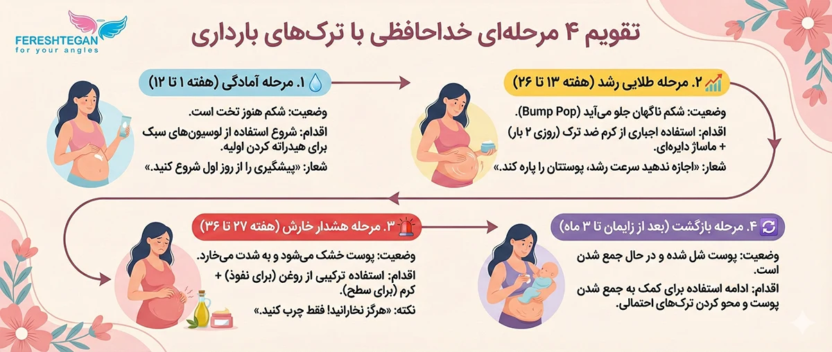 اینفوگرافی استفاده از کرم ضد ترک شکم در بارداری و پس از آن